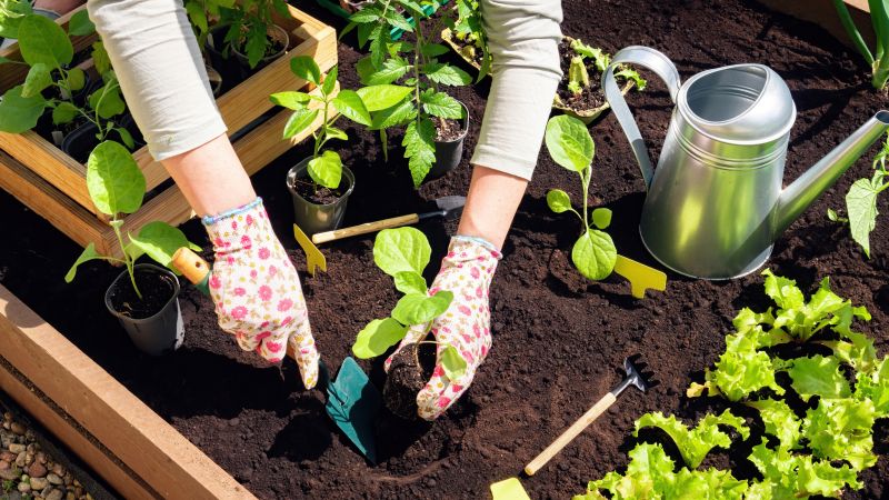 Preparing Raised Beds