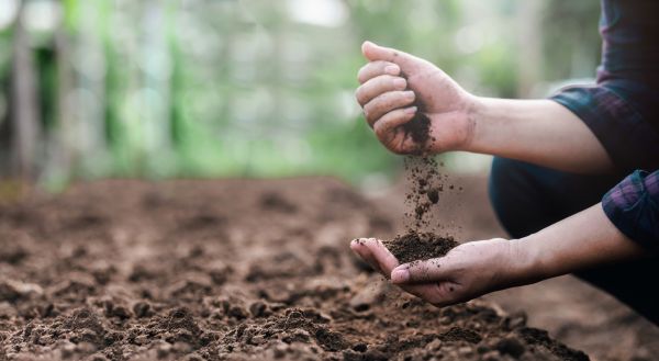 Garden Soil Preparation